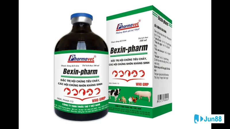 Gà bị tiêu chảy cần uống nước điện