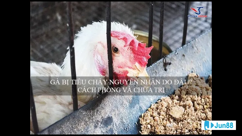 Phương pháp dân gian chữa bệnh