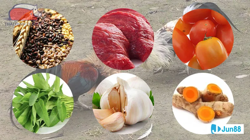 chế độ dinh dưỡng khoa học Chế độ dinh dưỡng khoa học