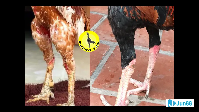 Minh họa cho Độ sát thương và tính