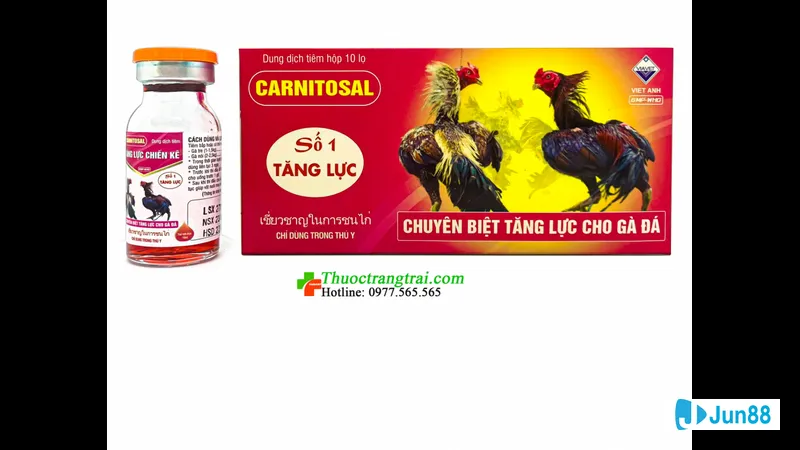Gà phản ứng trước sự xâm nhập của Gà phản ứng trước sự xâm nhập của
